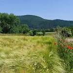 Holiday home Cosytinyhouse Grossburschla *
