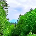 Cosytinyhouse Grossburschla Treffurt