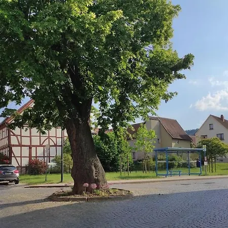 Cosytinyhouse Grossburschla Dom wakacyjny *