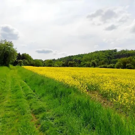 Cosytinyhouse Grossburschla *