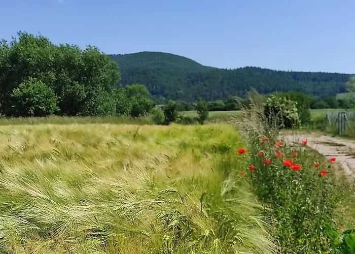 Tatil Evi Cosytinyhouse Grossburschla *