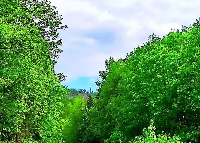 Cosytinyhouse Grossburschla Treffurt