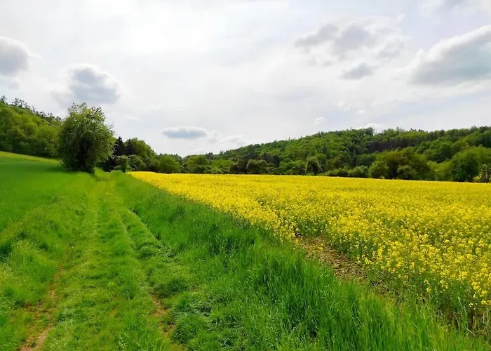 Cosytinyhouse Grossburschla *